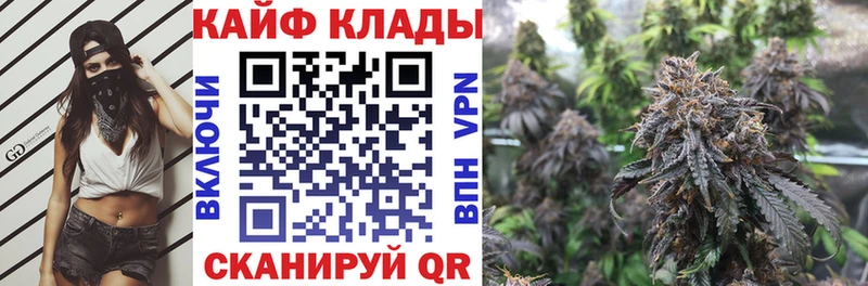 Виды наркотиков купить Жердевка ГАШИШ  МАРИХУАНА  Лсд 25  Амфетамин  МЕФ  Alpha PVP 