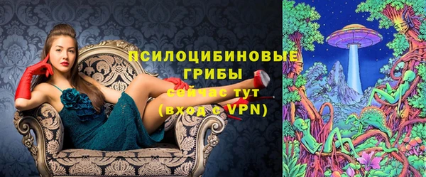 mdpv Верхний Тагил