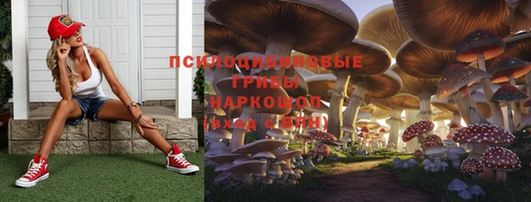 mdpv Верхний Тагил